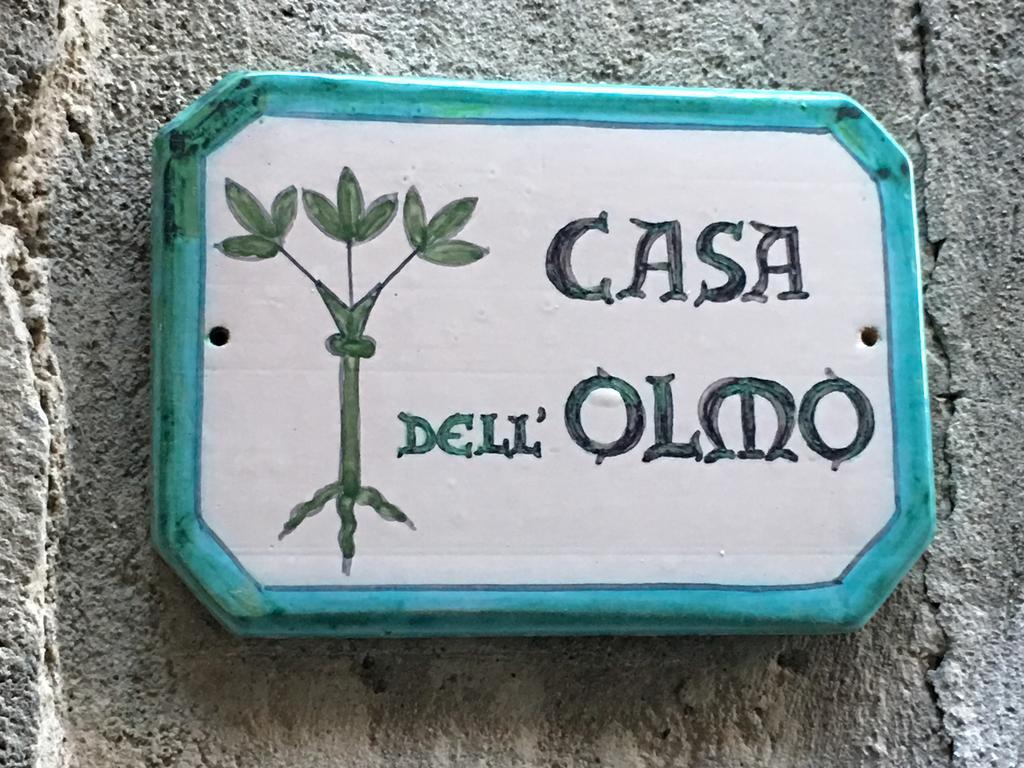 Casa Dell'Olmo Apartment Orvieto Exterior photo